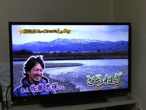 87457863_2598557946938223_1770137734157959168_n