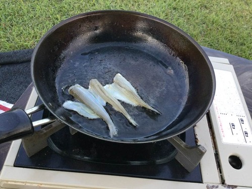 300381460_5264211137039544_1149813959963847853_n