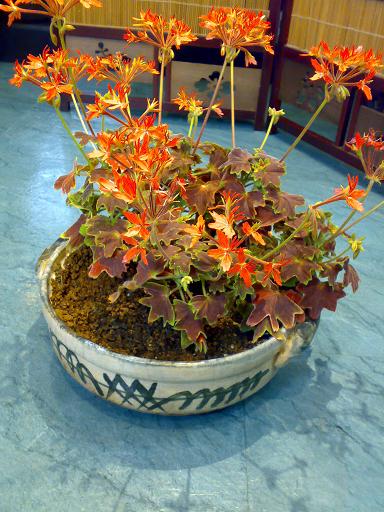 20090422975.jpg