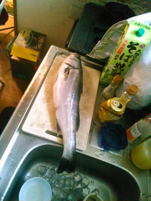 1909562_821796451281057_5111568029922700424_n