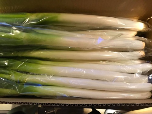 131342448_3326768427433515_2961876743332899009_n