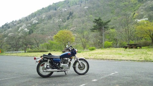 10276543_484560225004683_27813606_n