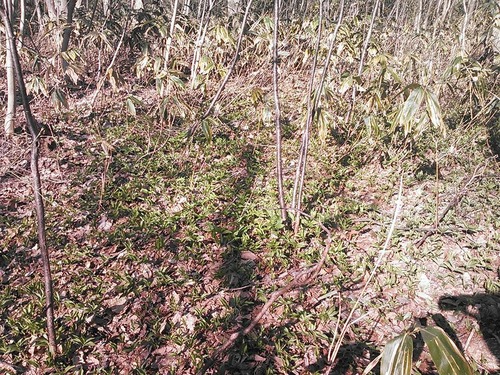 18034270_1135574639903235_5132671661767984559_n