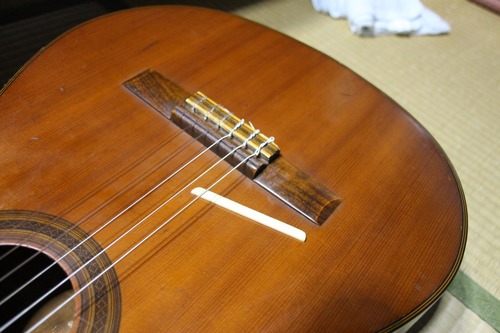 380886088_3165472120424387_7385818236080624176_n