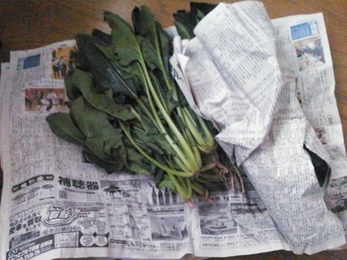 17342492_1101536106640422_8092112628279167595_n