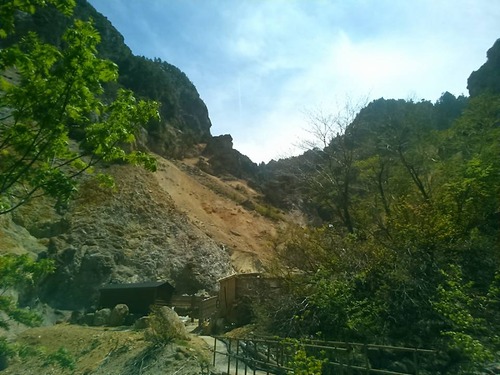 13244890_855140874613281_5122472236405241911_n