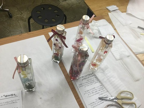 75636015_2387681621359191_801921409784741888_n