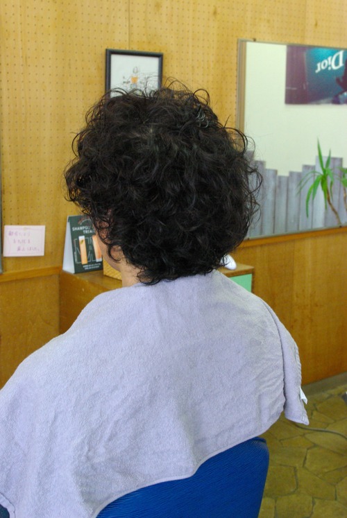 343423475_1010568109913114_6973303761372594395_n