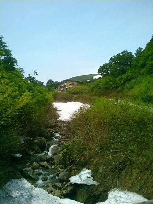 13516457_874885882638780_3293386028585792443_n