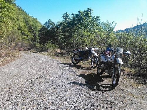 18699754_1167680603359305_6393028753643005421_n