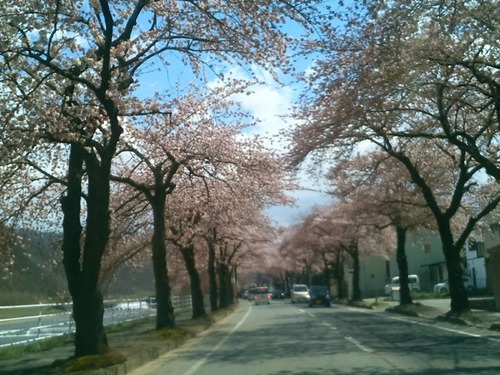 12993431_836389163155119_2927375360574397941_n