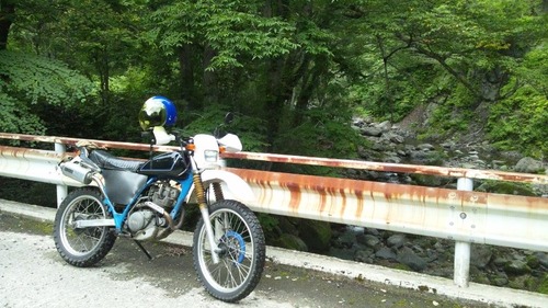 10637643_543110739149631_920814627_n