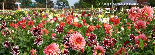 kawanishi_topimage05