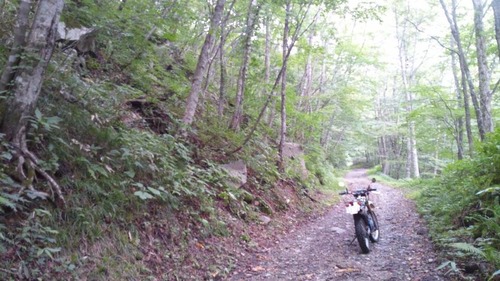 10617453_543110699149635_2060398246_n