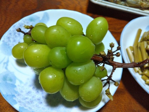 381394982_6485124231614889_4890741155160668489_n