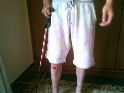 13718750_890640364396665_123383472010720079_n