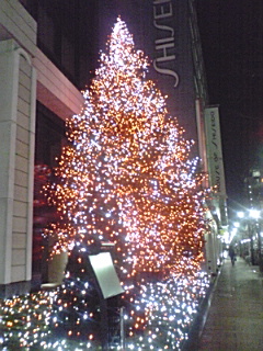 img20071124.jpg