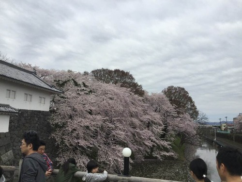 57611726_1985092888284735_8052975130659258368_n