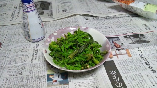 10268267_484560195004686_1199560539_n