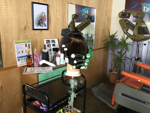 28166605_1410175805776449_421088775083867857_n