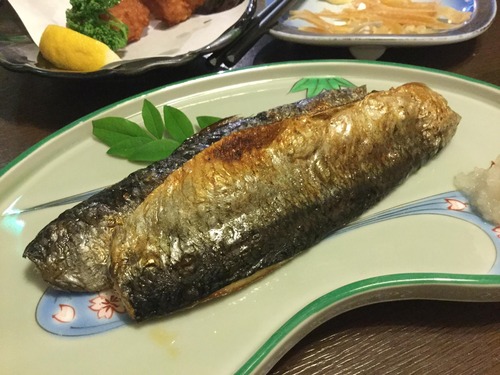 19417441_1192944210832944_1333064404373541371_o