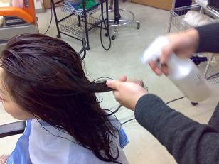20090225911.jpg