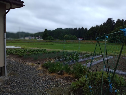 353019974_6151469748313674_7483548717521576662_n