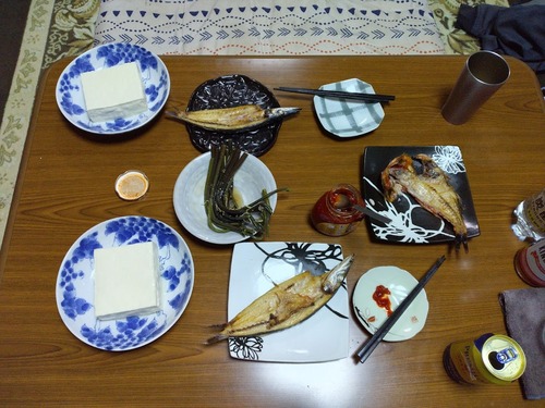 444781854_7458435724283730_4734068227968174871_n