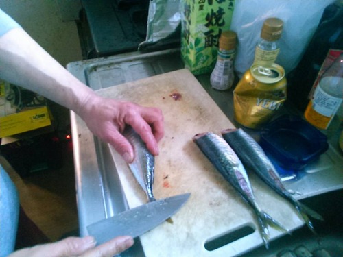 12274664_821796477947721_661228135299713357_n