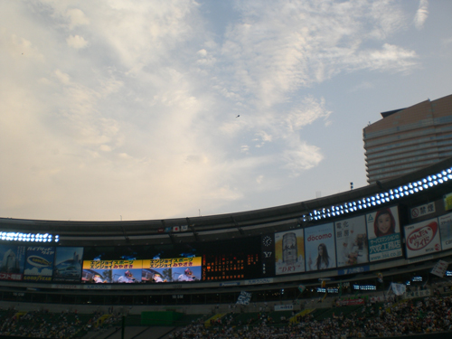 080910-35.jpg
