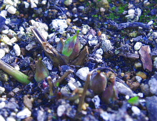 pc225629.jpg
