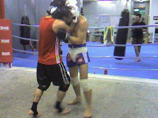 img20071129.jpg