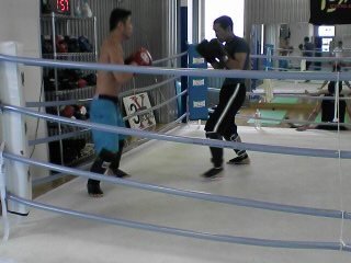 img20060629_1.jpg