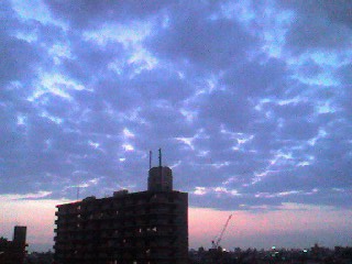 img20070620.jpg