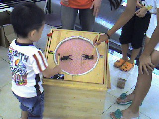 img20080818_2.jpg