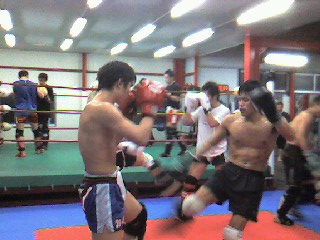 img20080418.jpg