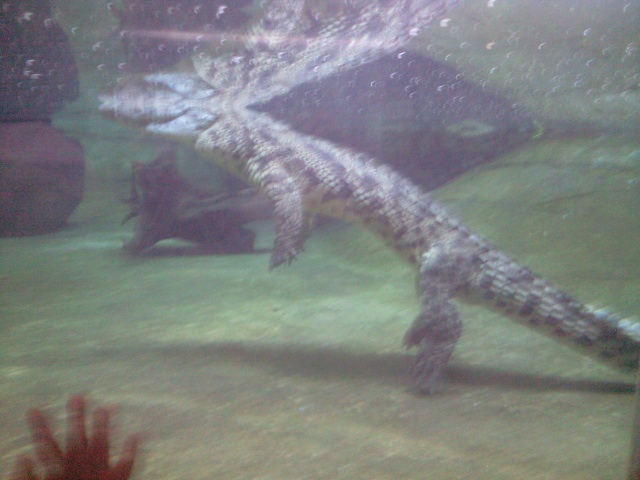 ca3a0458.jpg