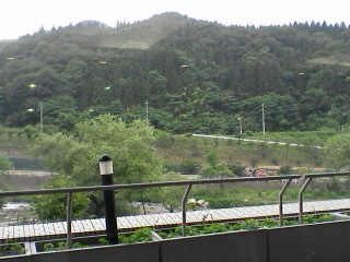 img20060626.jpg