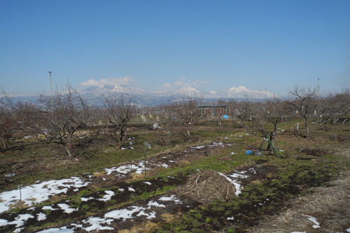 DSCN2228