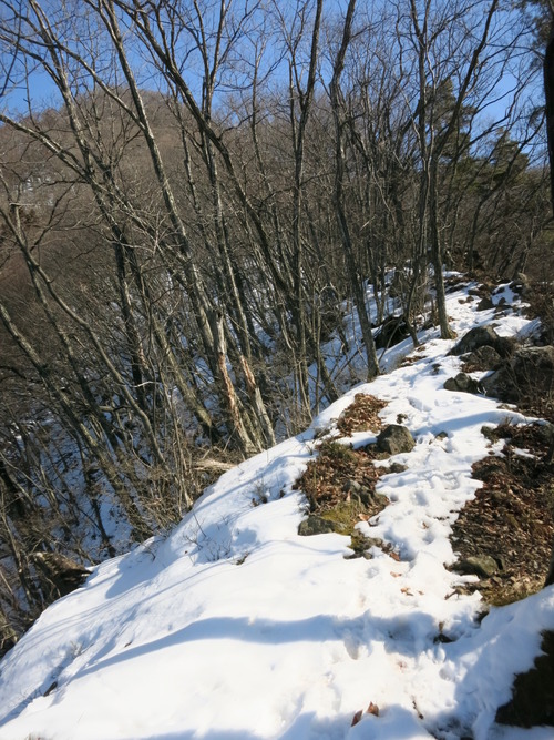 IMG_0008_1