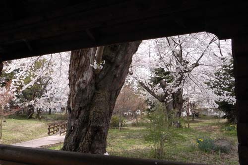 R0012281