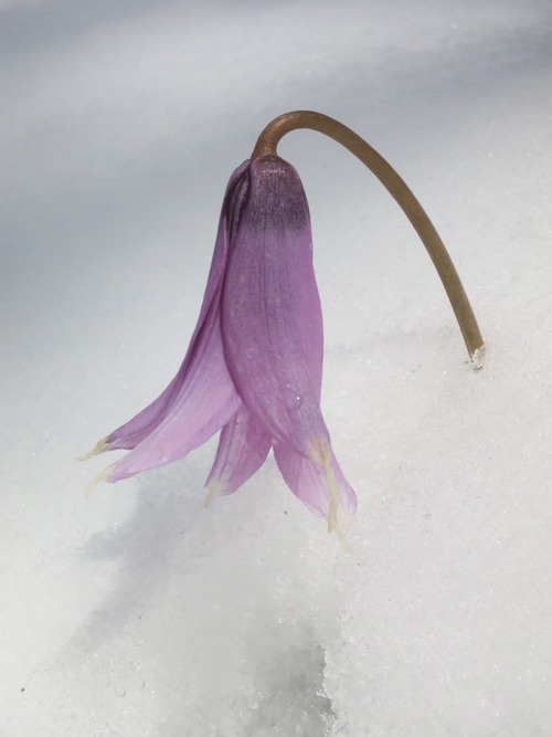 IMG_0217