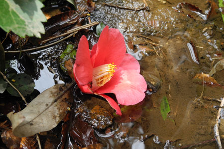 DSCN2550
