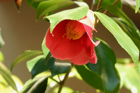 DSCN2525