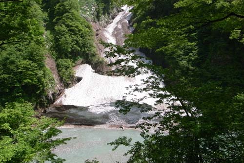 RIMG0694