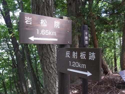 RIMG1243