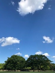 IMG_0749