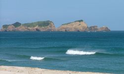 dscf2136.jpg