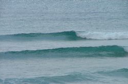 dscf2415.jpg