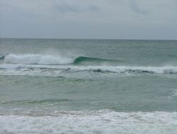 dscf1784.jpg